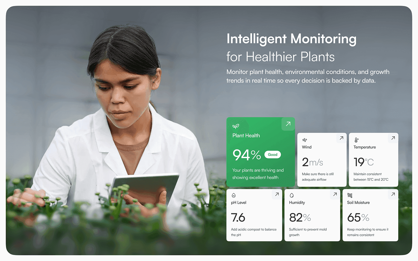 Customer segmentation dashboard showing behavioral cohorts, lifetime value analysis, and retention metrics